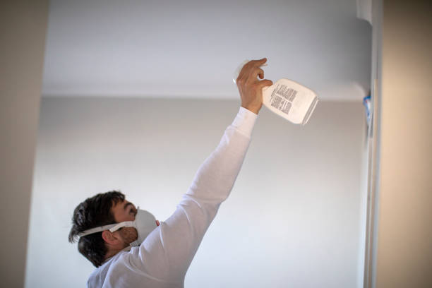 Best Water Damage Restoration  in Big Le, AK