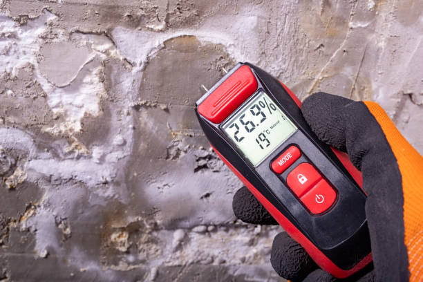 Best Mold Remediation  in Big Le, AK