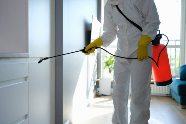 Best Mold Cleaning Services  in Big Le, AK