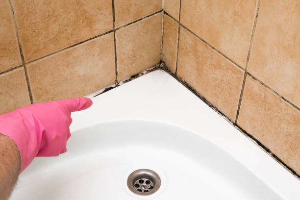 Best Attic Mold Removal  in Big Le, AK